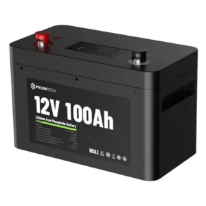 Bateria RT12100 Litio